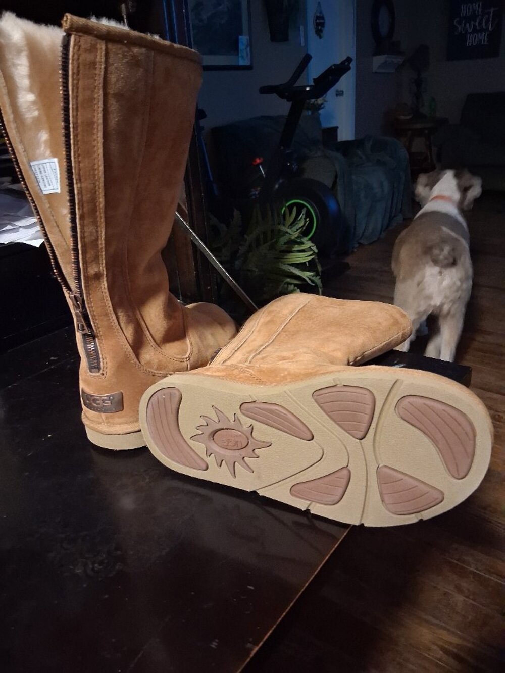 Deadstock uggs 5119